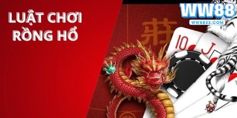 Hướng dẫn chơi Rồng Hổ WW88 cho game thủ